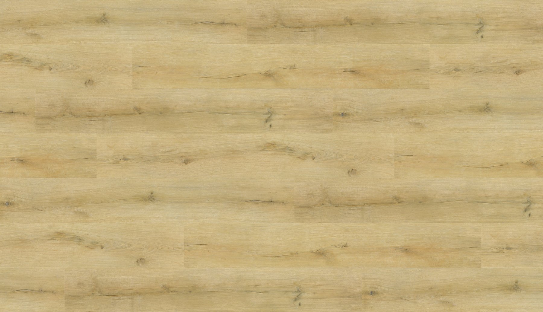 Colour sample: Sunlit Oak