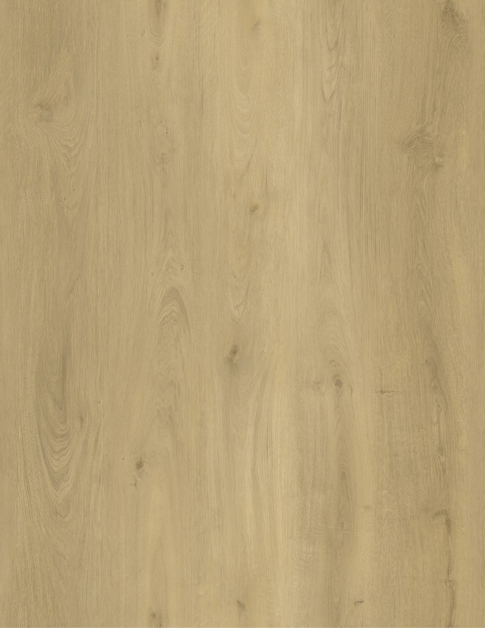 Colour sample: Buttermilk Oak