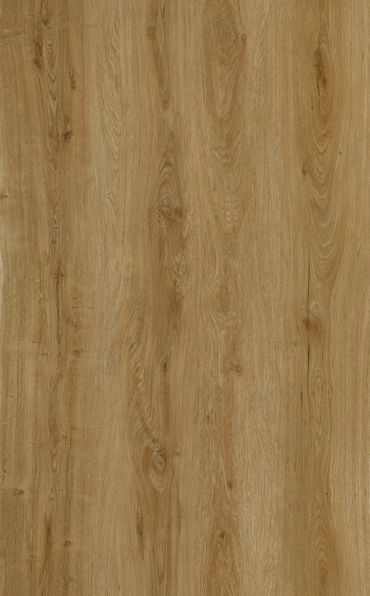 Colour sample: Sahara Oak